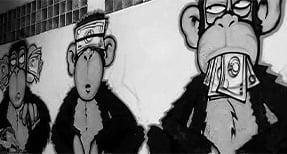 digiground-sydney-app-development-company