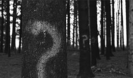 Why-isnt-my-webiste-ranking-at-the-top-of-google