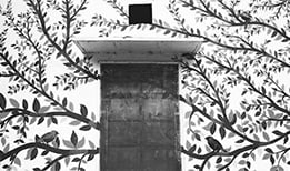 common-website-mistake-captain-marvel