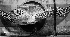 diversification-vs-expansion