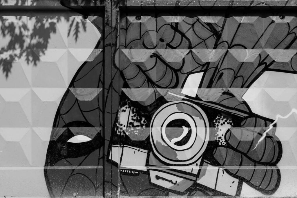 can-i-use-that-image