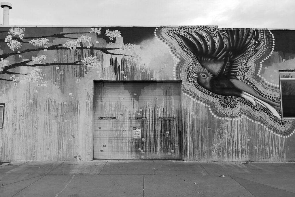 digiground-is-a-mobile-app-development-agency