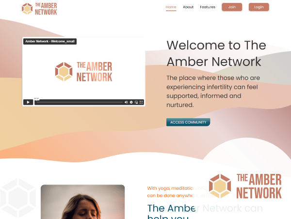 The amber network website view